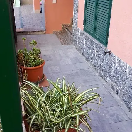 Casa Alyssa *